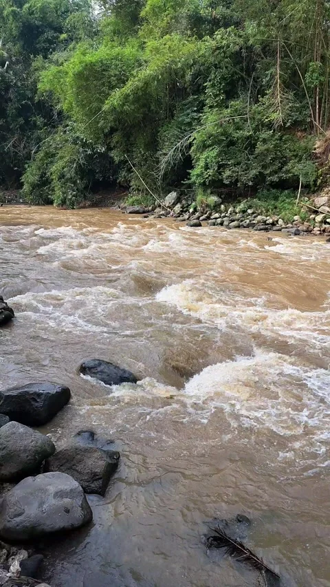 The flow of the brown River Stock Footage 276349037