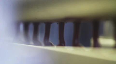 The flow of chocolate Stock Footage 48776083