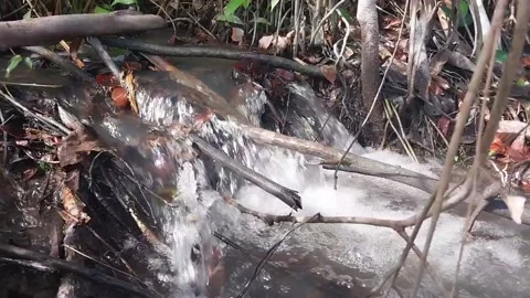 A flow of clean and clear water Stock Footage 197051696