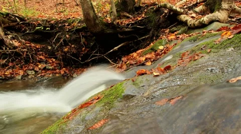 Flow Of Clean Rivers Video stock 52477015