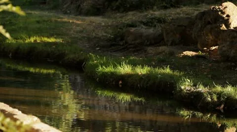 Flow of clean water Stock Footage 8909337