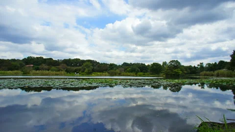 Flow of Clouds Reflected in the Pond Stock Footage 327538530