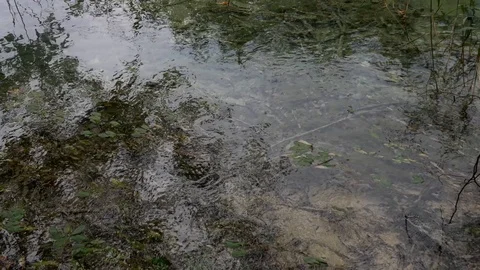 Flow of crystal clear water in a river with the reflection of trees Stock Footage 89149879