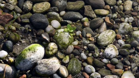 The flow of the current on the bed of a river Stock Footage 84927014