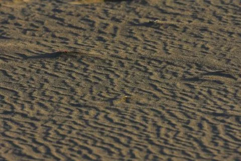 Flow Effect Ripple Pattern In Soft Beach Sand Stock Photos