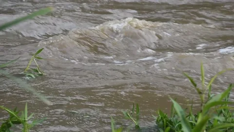 Flow of flood river water . Stock Footage 169198969