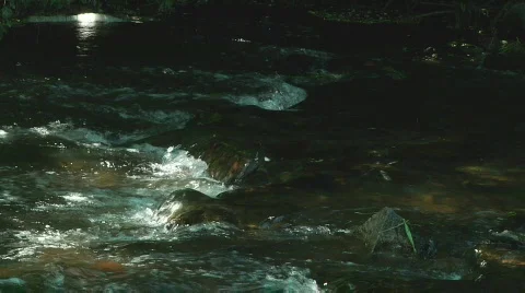 Flow Stock Footage 808094