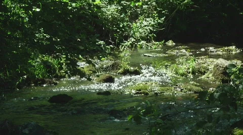 Flow Stock Footage 808095