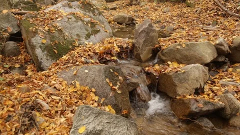 The flow Vídeo Stock 110806615