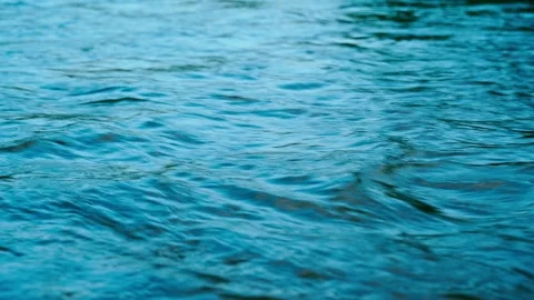 The flow of fresh water in a forest river. Movement of the water stream. Stock Footage 315180892