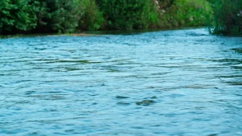 The flow of fresh water in a forest river. Movement of the water stream. Stock Footage 315180894