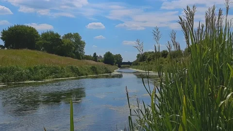 The flow if a canal viewed through reeds from the river bank Stockbeeldmateriaal 201586750