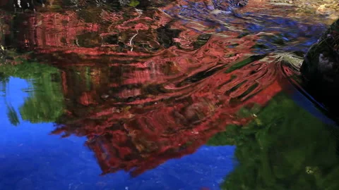 The Flow of Kiyotaki River and the Maple Tree Reflected on the Water Surface Vídeo Stock 332447954