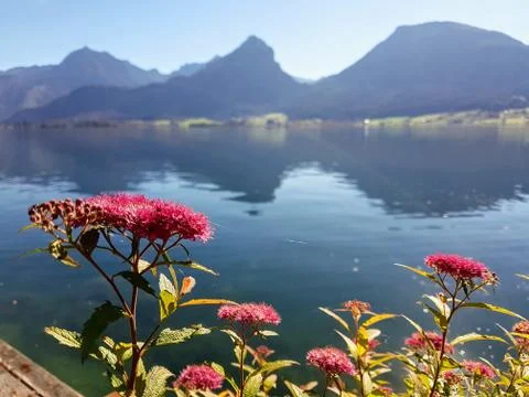 Flow on the lake Stock Photos