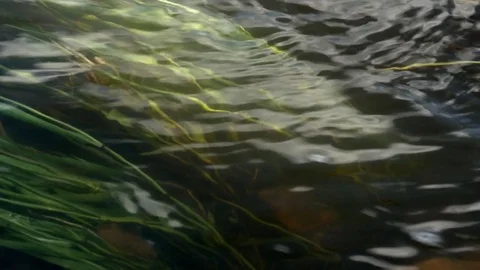 Flow of a mountain river Video stock 80319462