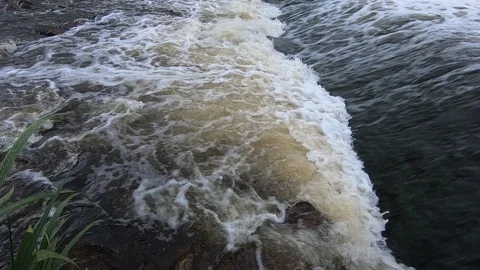 The flow of the mountain river. 스톡 동영상 100668691