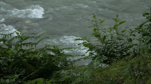 The flow of a mountain river Stock Footage 324925061