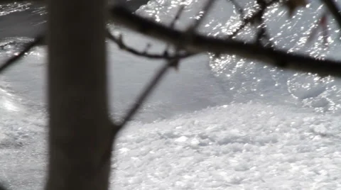The flow of the mountain river. The Sayan mountains. Siberia. Russia. 库存影片 63631453
