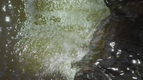 Flow of mountain river on surface of which foam is formed. Video stock 249175951