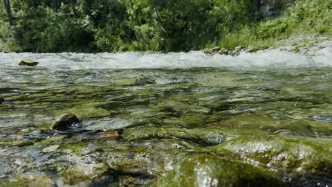 The flow of a mountain river. Waves on the surface of the water. Stock-Footage 201773274
