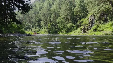 The flow of a mountain river. Waves on the surface of the water. Video stock 201773316