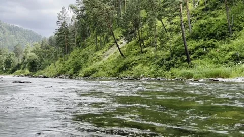 The flow of a mountain river. Waves on the surface of the water. Stock-Footage 202338405