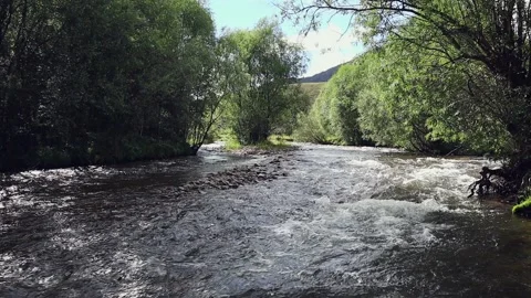 The flow of a mountain river. Waves on the surface of the water. Stock-Footage 202340966