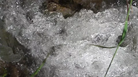 Flow of a mountain stream in nature in slow motion Stock Footage 310208633