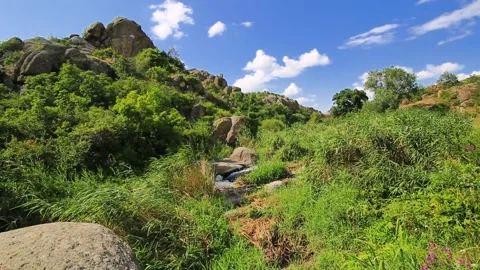 Flow of mountain stream of river among the leaves of reeds swaying wind. Stock Footage 169882383