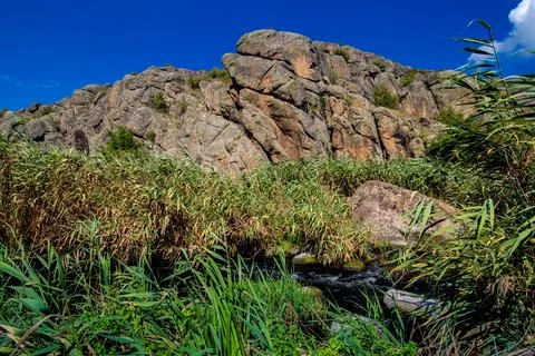 Flow of a mountain stream of river among the leaves of reeds with stones. Stock Photos