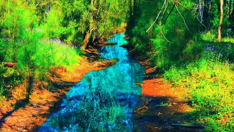 The Flow of Nature Stock Photos