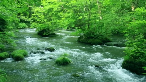 The Flow of Oirase Stock-Footage 332407876
