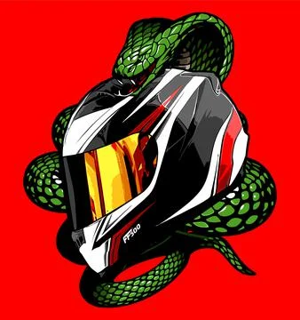 Flow pattern helmet wrapped around a snake Stock Illustration