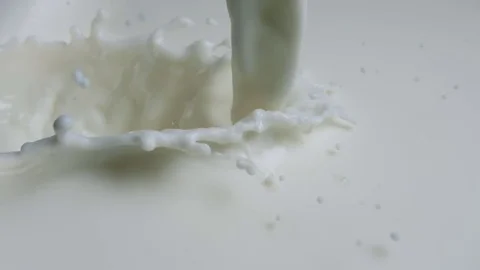 Flow Pouring Milk Splash Slow Motion Vídeo Stock 72586200