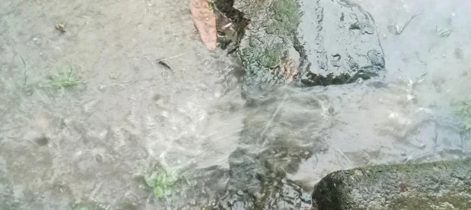 The flow of rainwater Stock Photos