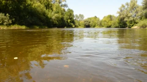 The flow in the river Stock Footage 56828561