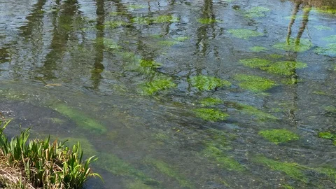 The flow of the river in Nagano, Japan. Stock Footage 104953498