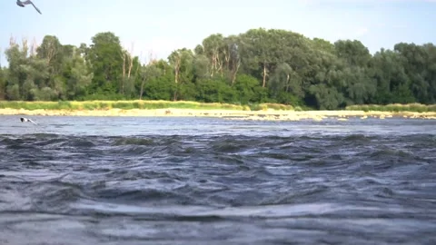 Flow of the river over which seagulls fly. Concept: fast, impetuous, stormy Stock Footage 156700065