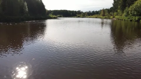 Flow of the river in the taiga forest Siberia Stock Footage 302275432