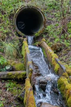 Flow of the river through the old drain pipes in the forest in the autumn Stock Photos