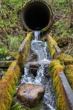 Flow of the river through the old drain pipes in the forest in the autumn Stock-Fotos