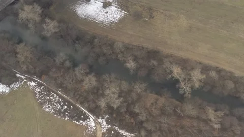 Flow of river Timok bordered with trees 4K drone video Stock Footage 102782275