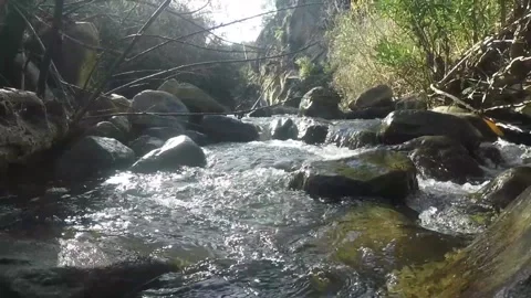 The flow of river water quickly between the rocks Video stock 148986440