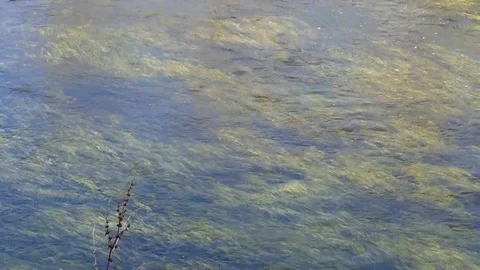 The flow of river water in slow motion, slow water flow, Stock Footage 105100920