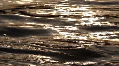 The flow of river water in  sunlight Stock Footage 22543941