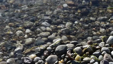 The flow of a river's current with reflections of the sun on the surface Stock Footage 84929995