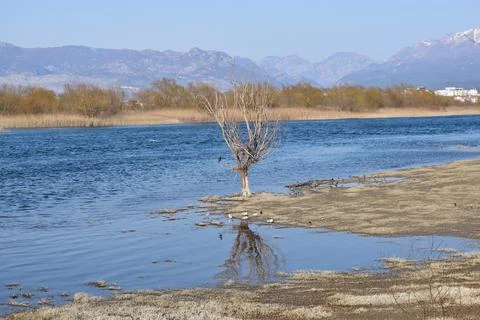 The flow of the river.Vegetation, Poultry view. Stock Photos