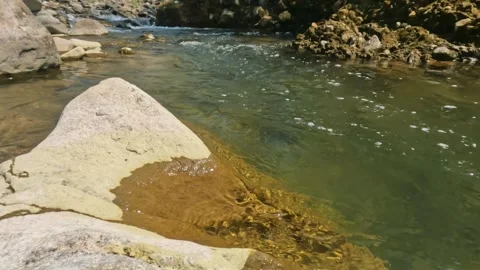 The flow of a rocky and clear mountain river Stock Footage 321810784