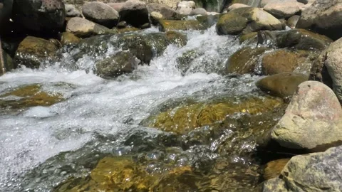 The flow of a rocky and clear mountain river Stock Footage 321811051