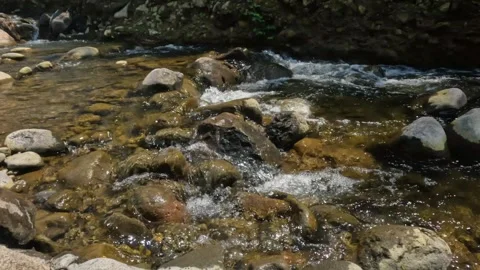 The flow of a rocky and clear mountain river Stock Footage 321811053